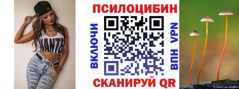 даркнет сайт  Татарск  Галлюциногенные грибы Psilocybe 